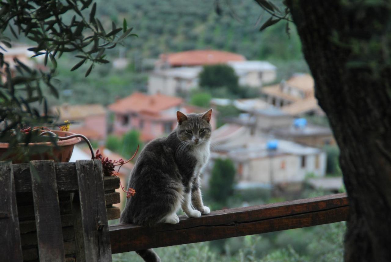 B&B A Casa Di Silvia Rocca Massima Zewnętrze zdjęcie